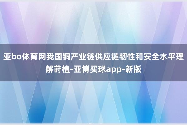 亚bo体育网我国铜产业链供应链韧性和安全水平理解莳植-亚博买球app-新版