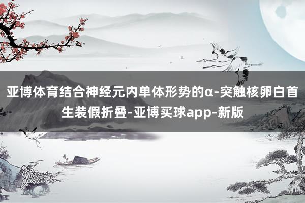亚博体育结合神经元内单体形势的α-突触核卵白首生装假折叠-亚博买球app-新版