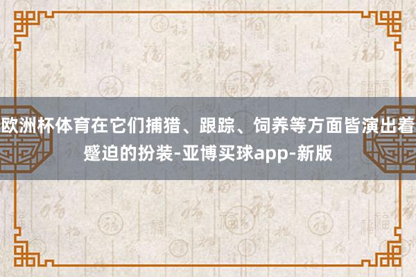 欧洲杯体育在它们捕猎、跟踪、饲养等方面皆演出着蹙迫的扮装-亚博买球app-新版