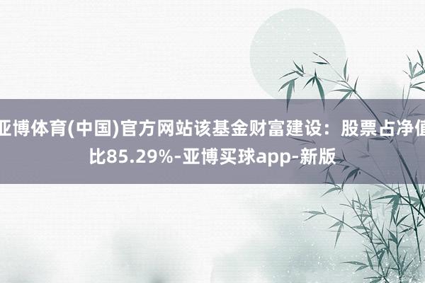 亚博体育(中国)官方网站该基金财富建设：股票占净值比85.29%-亚博买球app-新版