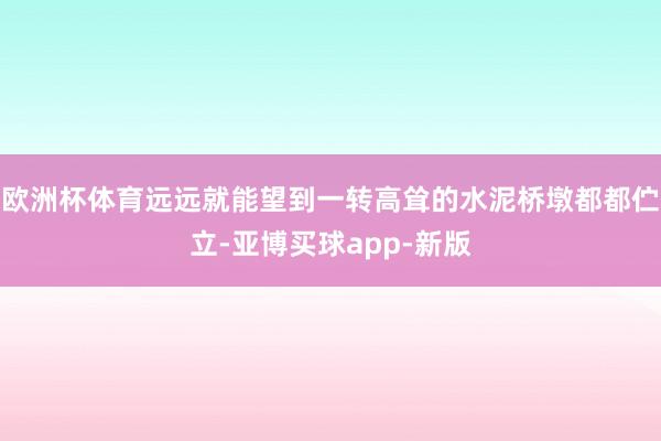 欧洲杯体育远远就能望到一转高耸的水泥桥墩都都伫立-亚博买球app-新版