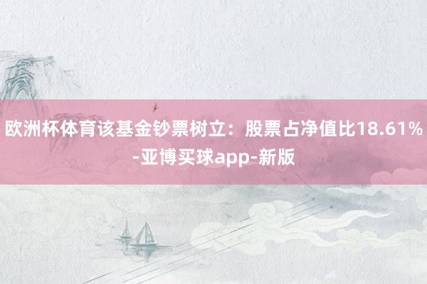 欧洲杯体育该基金钞票树立：股票占净值比18.61%-亚博买球app-新版