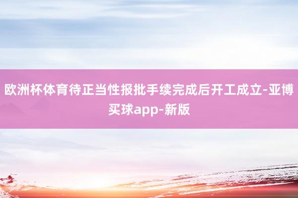 欧洲杯体育待正当性报批手续完成后开工成立-亚博买球app-新版