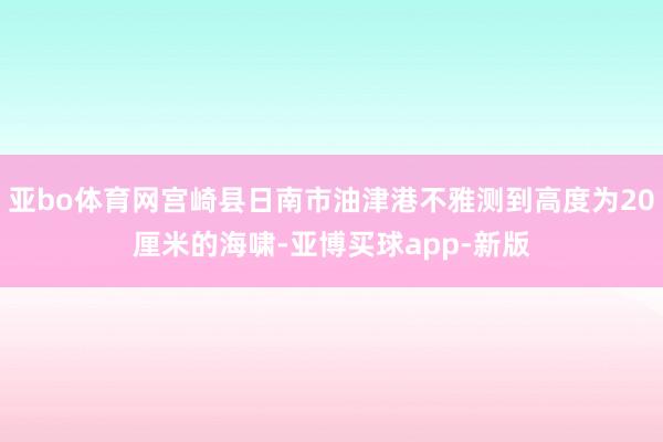 亚bo体育网宫崎县日南市油津港不雅测到高度为20厘米的海啸-亚博买球app-新版