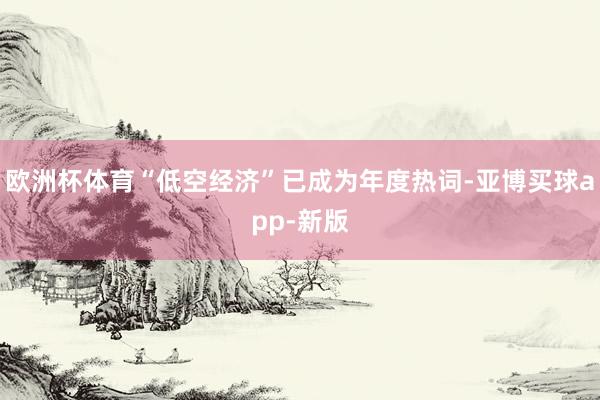 欧洲杯体育“低空经济”已成为年度热词-亚博买球app-新版
