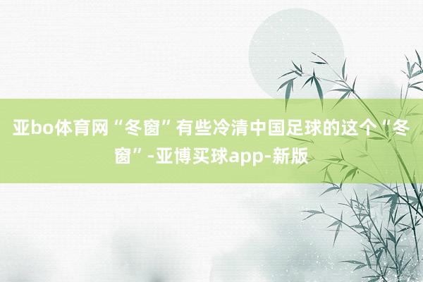 亚bo体育网“冬窗”有些冷清　　中国足球的这个“冬窗”-亚博买球app-新版