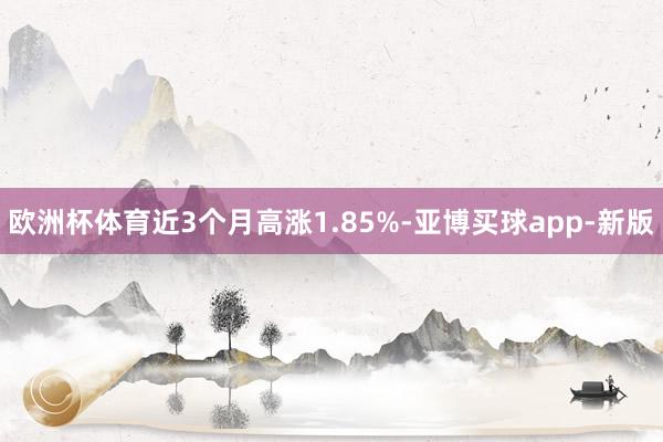 欧洲杯体育近3个月高涨1.85%-亚博买球app-新版