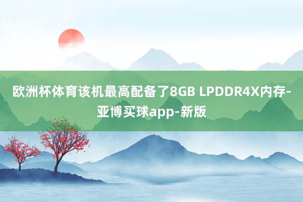 欧洲杯体育该机最高配备了8GB LPDDR4X内存-亚博买球app-新版