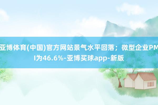 亚博体育(中国)官方网站景气水平回落；微型企业PMI为46.6%-亚博买球app-新版