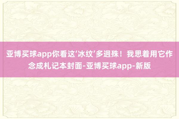亚博买球app你看这‘冰纹’多迥殊！我思着用它作念成札记本封面-亚博买球app-新版