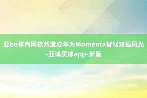 亚bo体育网依然造成华为Momenta智驾双强风光-亚博买球app-新版