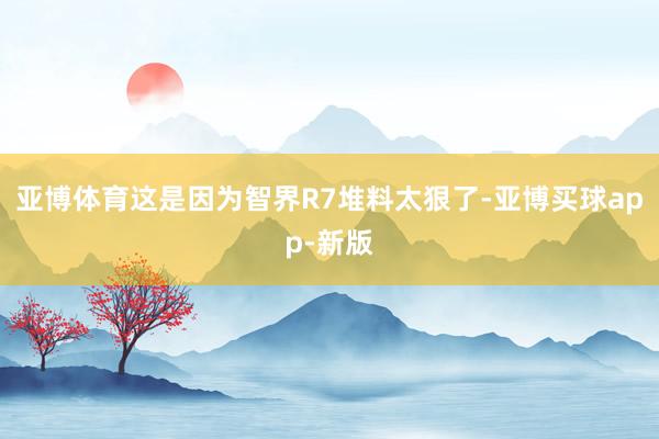 亚博体育这是因为智界R7堆料太狠了-亚博买球app-新版